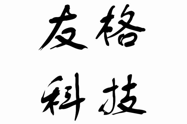 广州友格信息科技